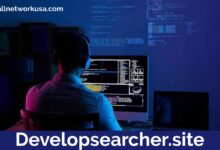 developsearcher.site