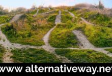 www alternativeway.net