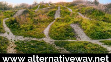 www alternativeway.net