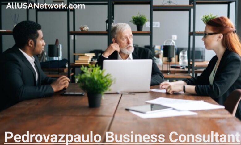 Pedrovazpaulo Business Consultant