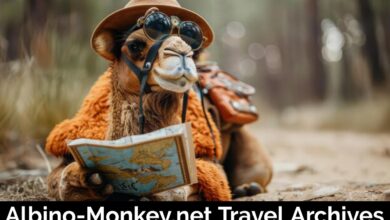 Albino-Monkey.net Travel Archives