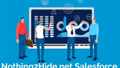 Nothing2Hide.net Salesforce